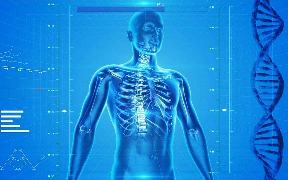 Human skeleton 163715 1280 1200x675 1 Human skeleton 163715 1280 1200x675 1